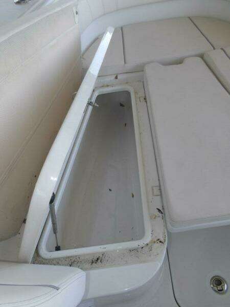 30ft Sea Hunt Yacht For Sale
