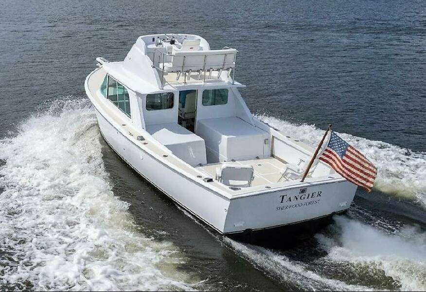 0005316654