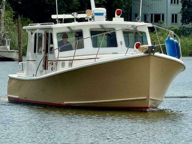 0005306499