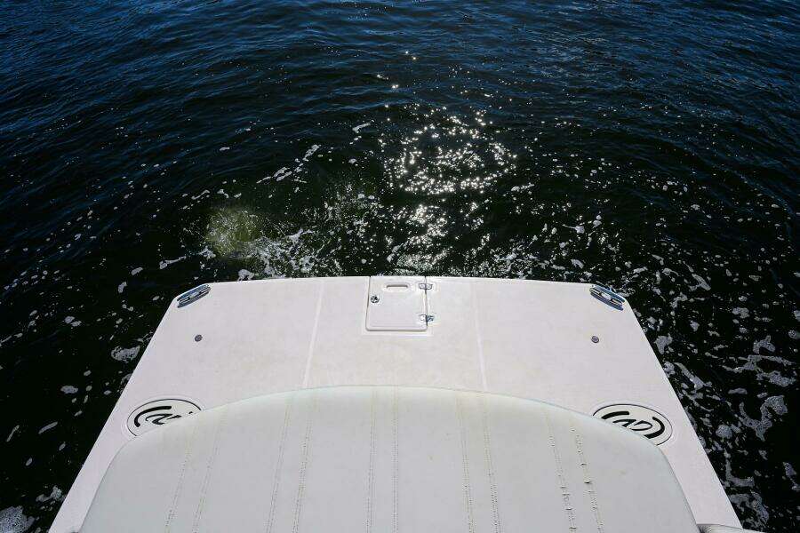 DAMN DADDY 35ft Regal Yacht For Sale