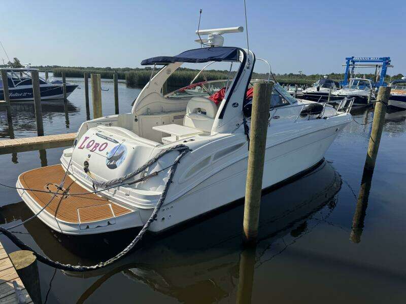 36ft Sea Ray Yacht For Sale