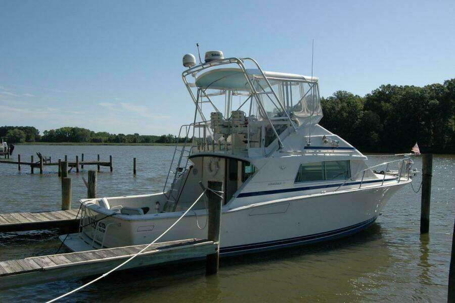 Vesper 33ft Bertram Yacht For Sale