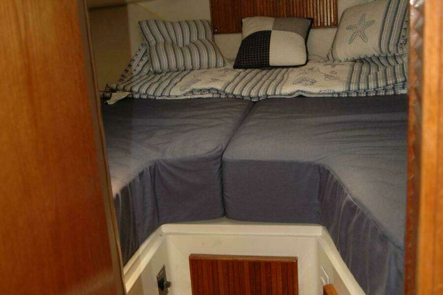 Vesper 33ft Bertram Yacht For Sale