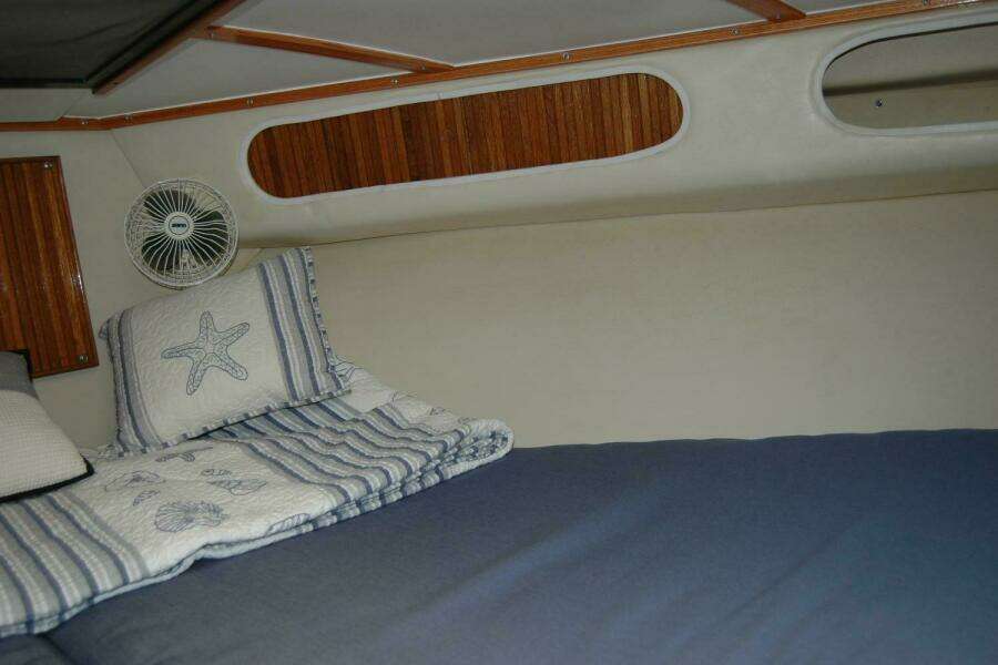 Vesper 33ft Bertram Yacht For Sale