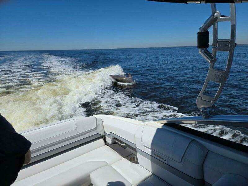 27ft Formula Yacht For Sale