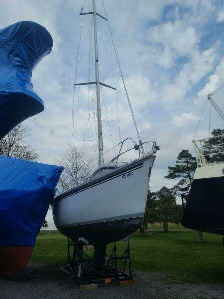 ORION 37ft Hunter Yacht For Sale