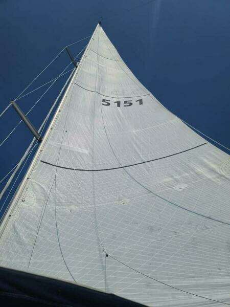 ORION 37ft Hunter Yacht For Sale