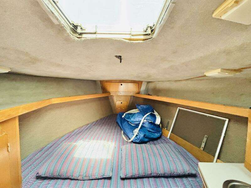 ORION 37ft Hunter Yacht For Sale
