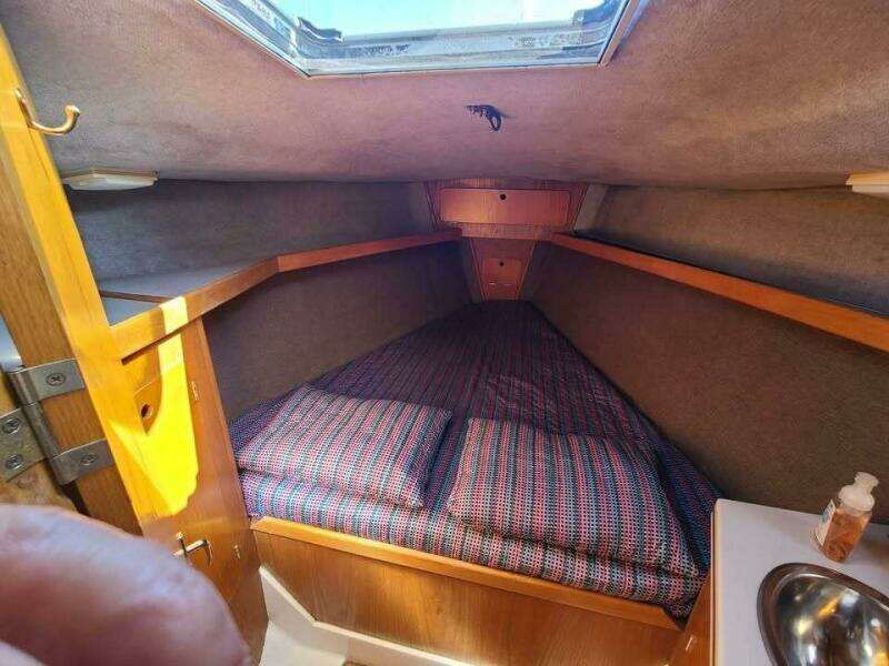 ORION 37ft Hunter Yacht For Sale