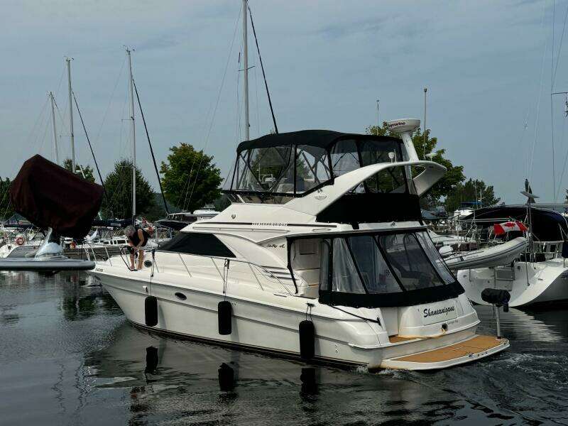 Shaneanigans 40ft Sea Ray Yacht For Sale