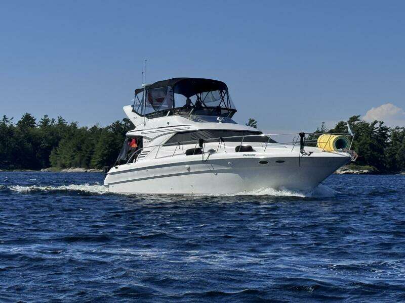 Shaneanigans 40ft Sea Ray Yacht For Sale