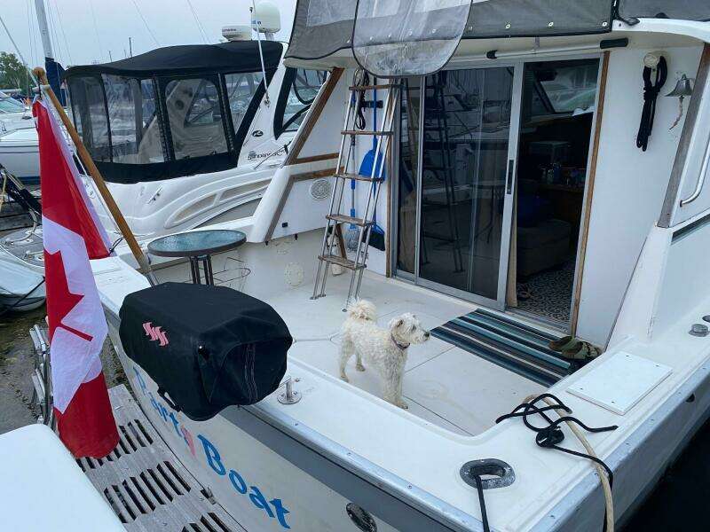 34ft Silverton Yacht For Sale