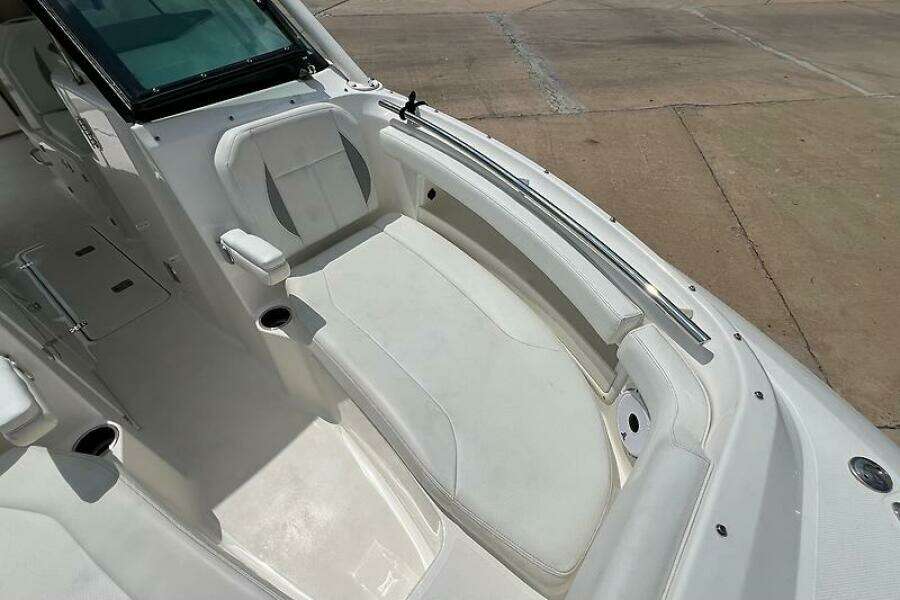 0005313223