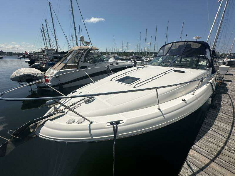 Liquid Therapy 32ft Sea Ray Yacht For Sale