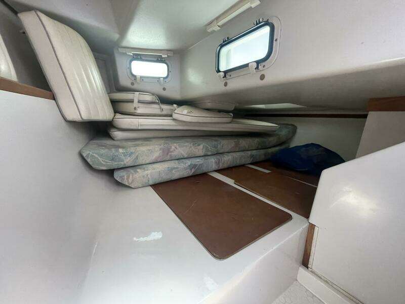 Black Dog 27ft Catalina Yacht For Sale