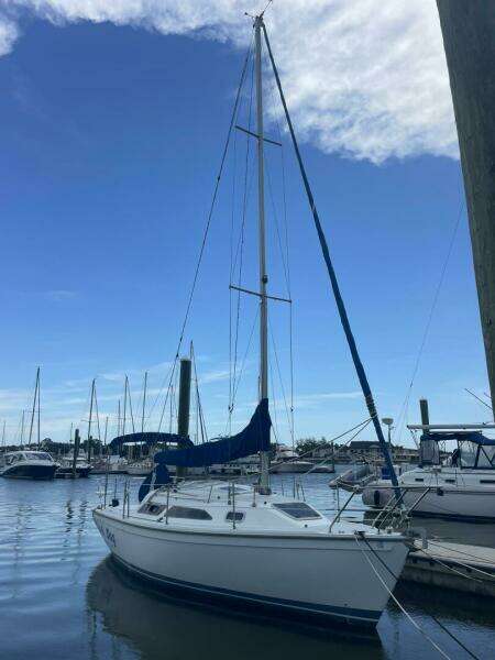 Black Dog 27ft Catalina Yacht For Sale