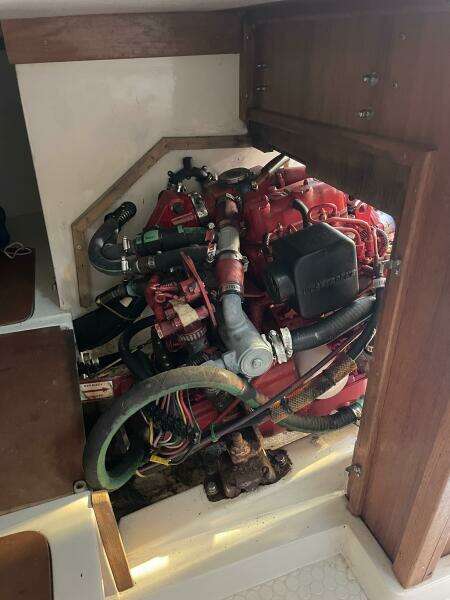 Black Dog 27ft Catalina Yacht For Sale