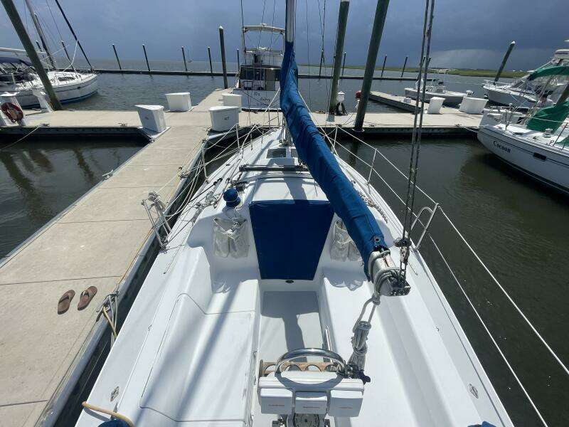 Black Dog 27ft Catalina Yacht For Sale
