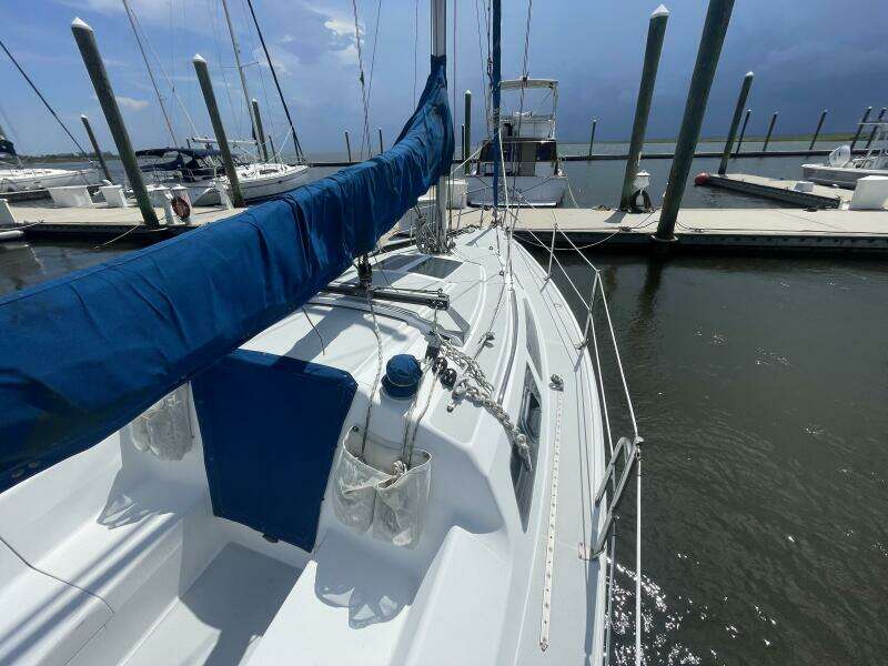 Black Dog 27ft Catalina Yacht For Sale