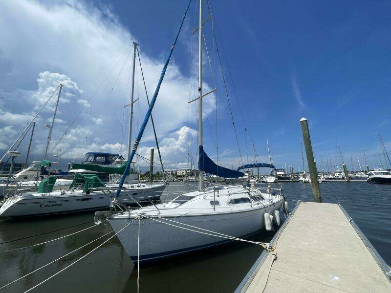 Black Dog 27ft Catalina Yacht For Sale