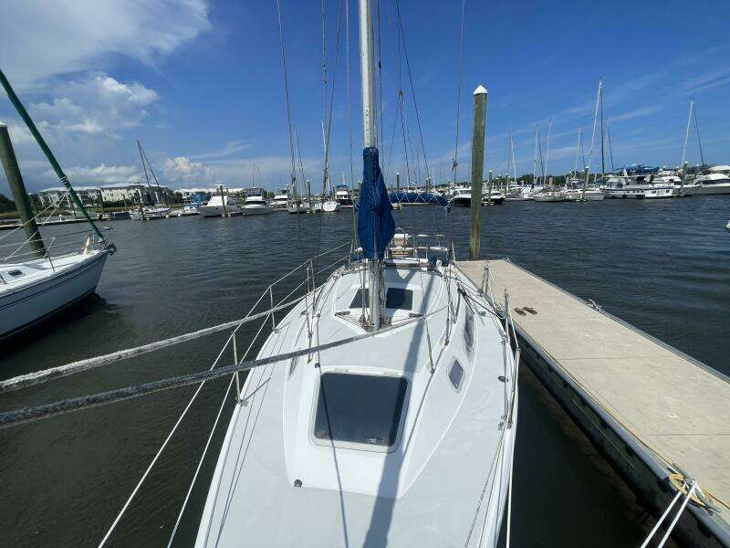 Black Dog 27ft Catalina Yacht For Sale