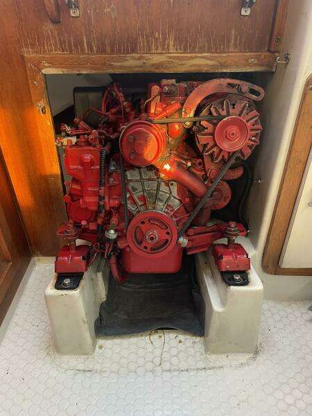 Black Dog 27ft Catalina Yacht For Sale