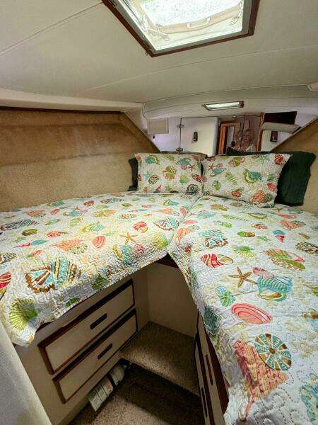 42ft Bertram Yacht For Sale