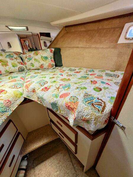 42ft Bertram Yacht For Sale