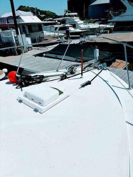 42ft Bertram Yacht For Sale