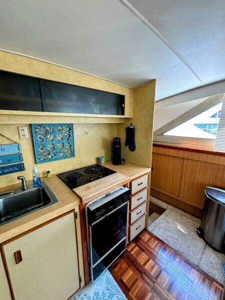 42ft Bertram Yacht For Sale