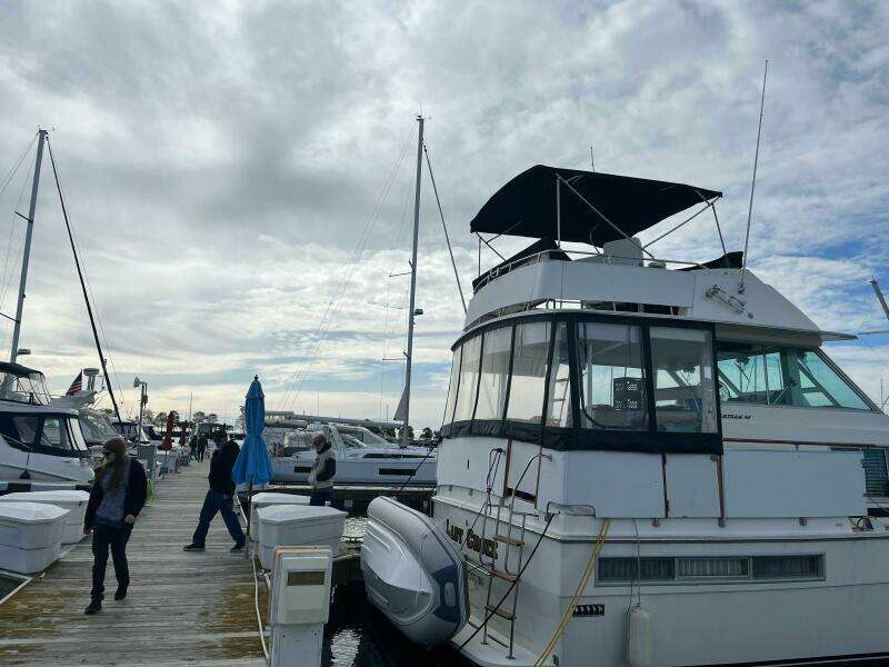 42ft Bertram Yacht For Sale