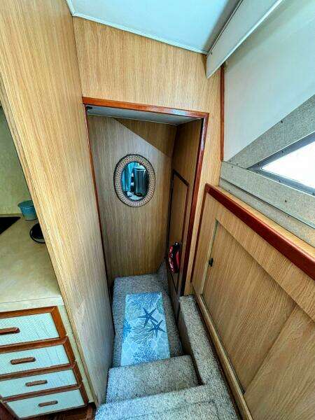 42ft Bertram Yacht For Sale