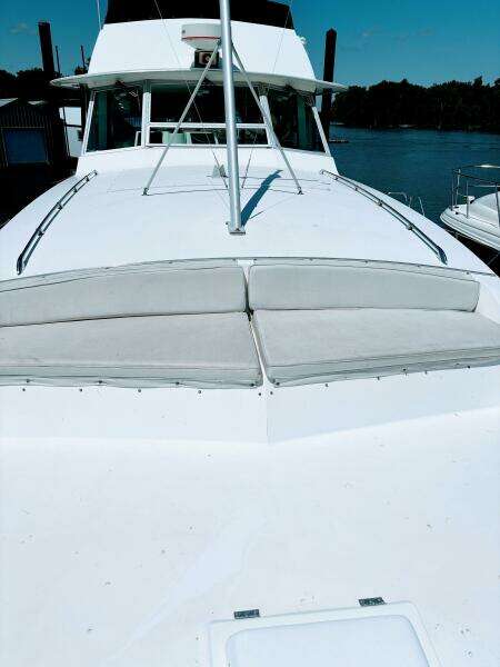 42ft Bertram Yacht For Sale