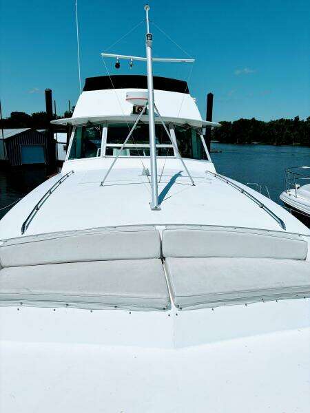 42ft Bertram Yacht For Sale
