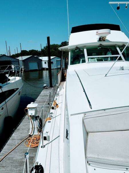 42ft Bertram Yacht For Sale