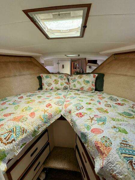 42ft Bertram Yacht For Sale