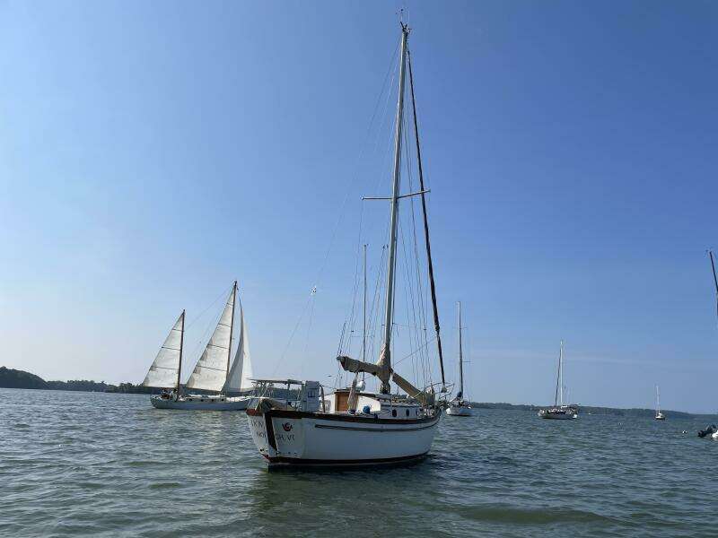 DOVE 28ft Shannon Yacht For Sale