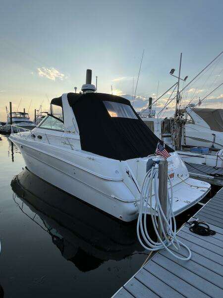 Ship Happens 31ft Sea Ray Yacht For Sale