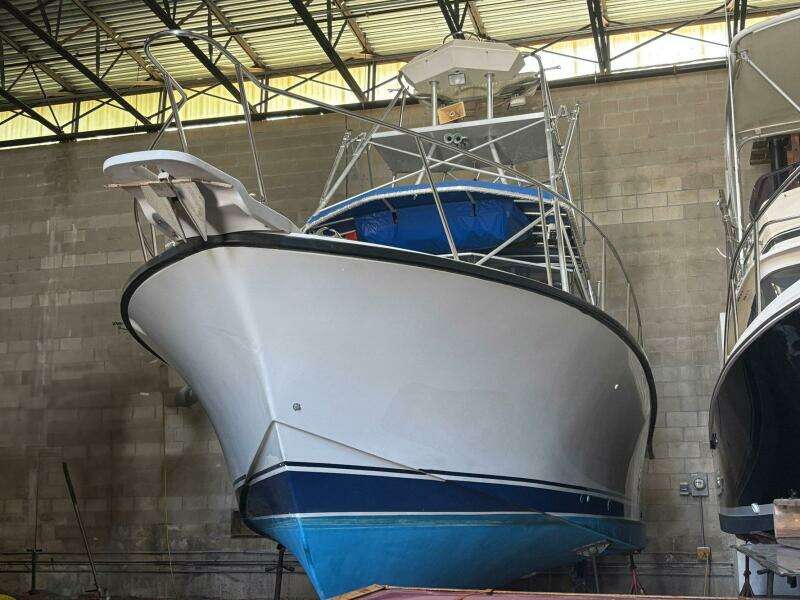 SADIE JEANNE 31ft Rampage Yacht For Sale