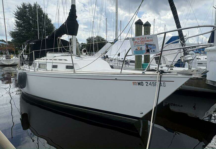 Imagine 31ft Sabre Yacht For Sale