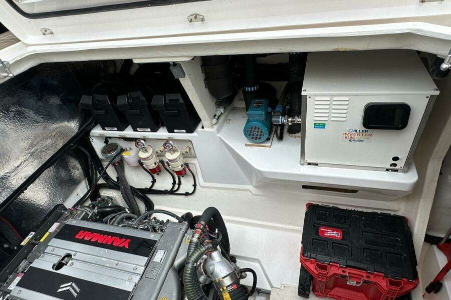 2022-leopard-53-powercat-power-9905066-20250811132416073-4.jpg