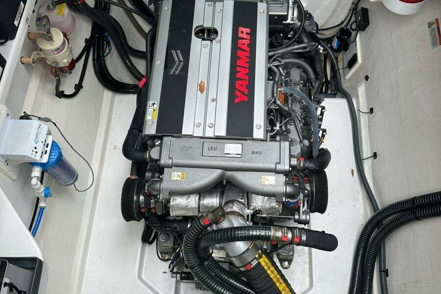 2022-leopard-53-powercat-power-9905066-20250811132415880-3.jpg