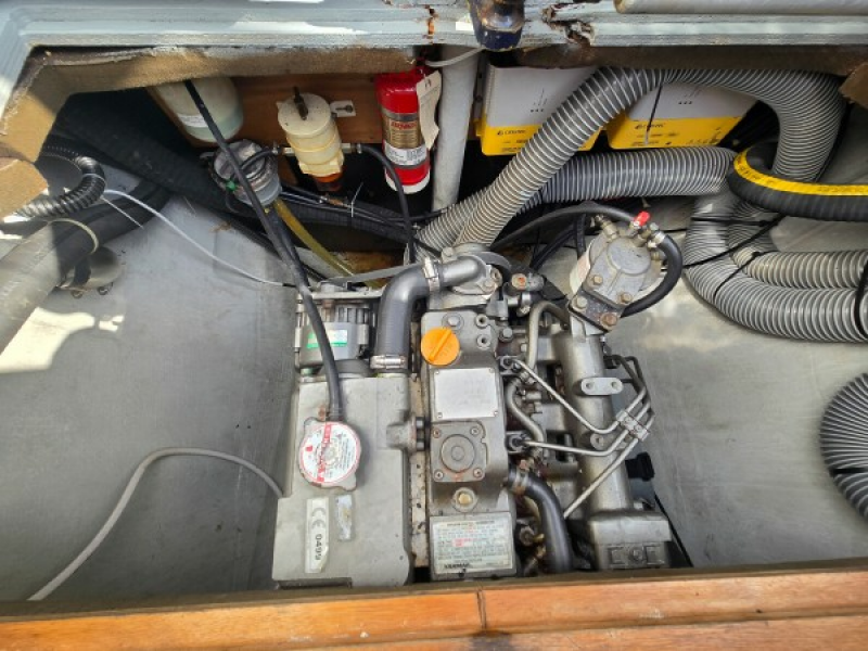 Used Sail Catamaran for sale