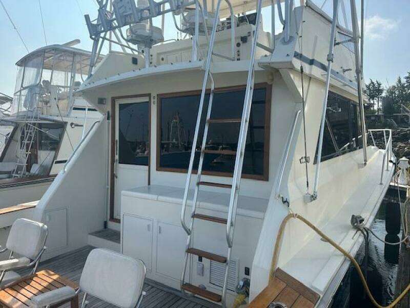 ARATE 45ft Viking Yacht For Sale