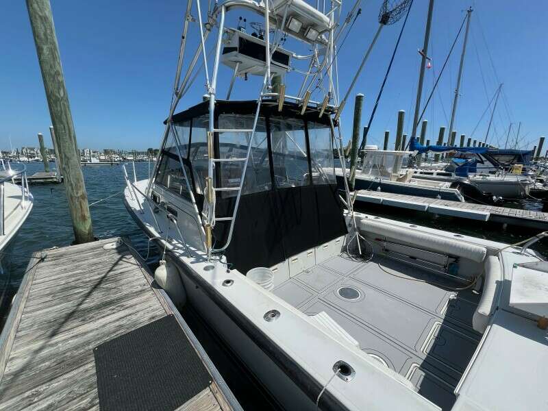 Half Moon 31ft Rampage Yacht For Sale