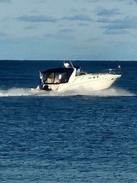 37ft Sea Ray Yacht For Sale