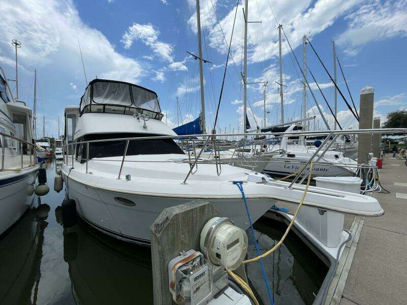 License to Chill 40ft Carver Yacht For Sale