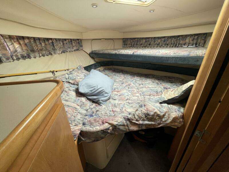 License to Chill 40ft Carver Yacht For Sale