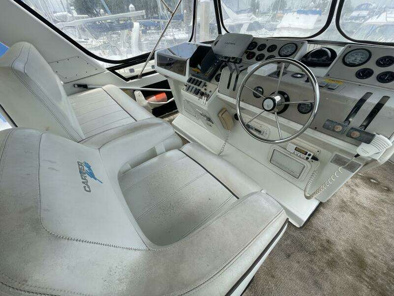License to Chill 40ft Carver Yacht For Sale