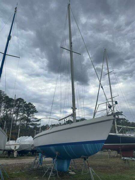 Agagio 36ft Contest Yacht For Sale